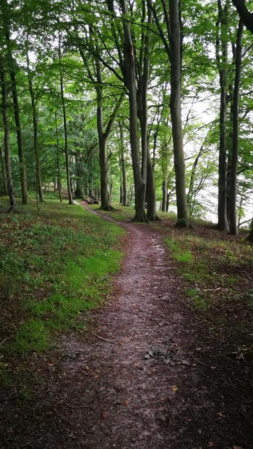 Kastanievejens Overnatning Svendborg Bagian luar foto